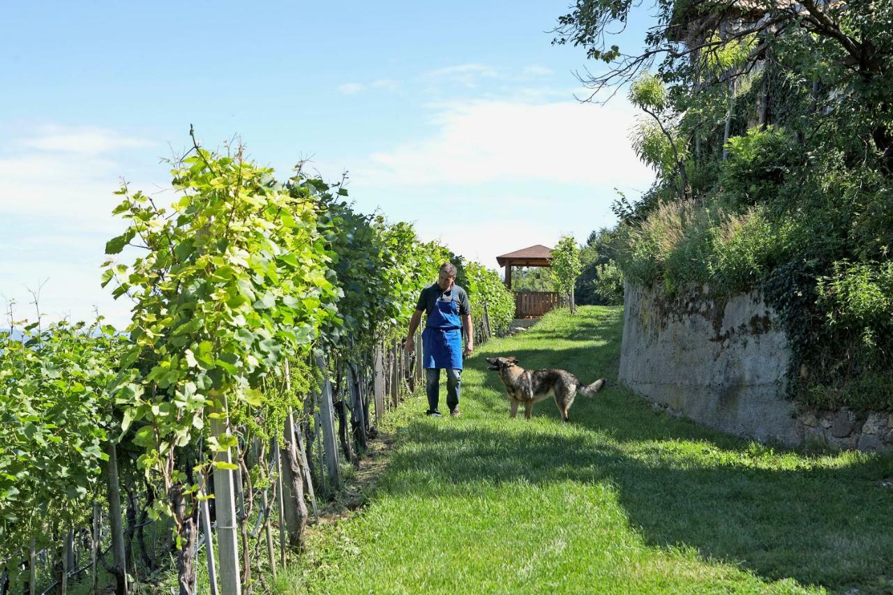 Engadiner Apartments & Wines Montagna Exteriér fotografie